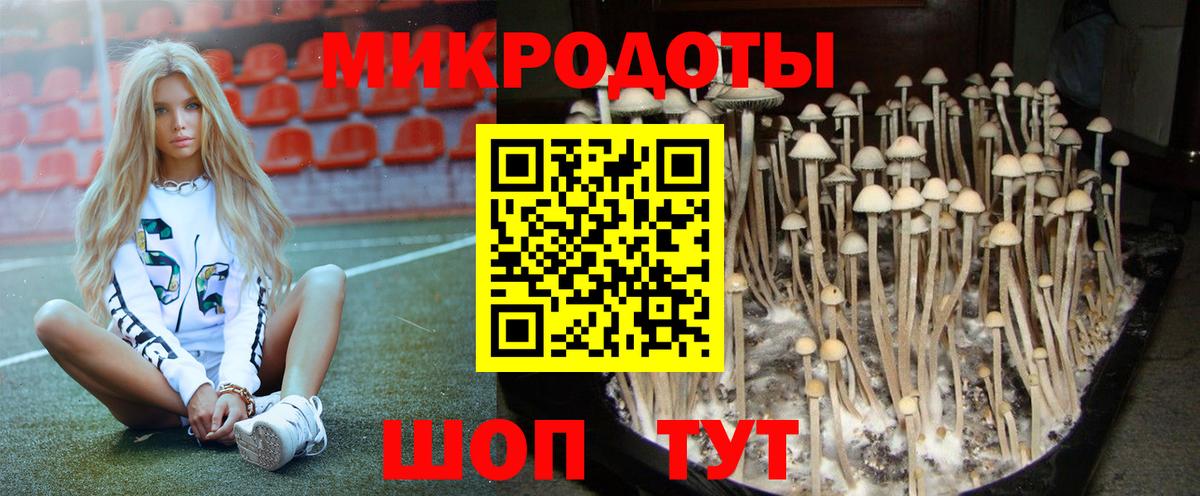 Галлюциногенные грибы прущие грибы Нижневартовск